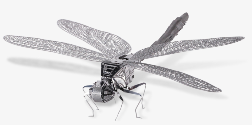 Metal Earth - Dragonfly, transparent png #3313870