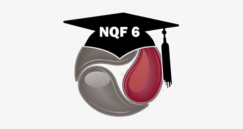 Nqf 6 Icon - Nqf 4, transparent png #3313938