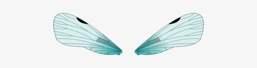 Insect Wings Png - Bug Wings Clipart, transparent png #3313974