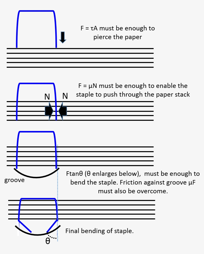 Seating Of Staple - Staple, transparent png #3315495