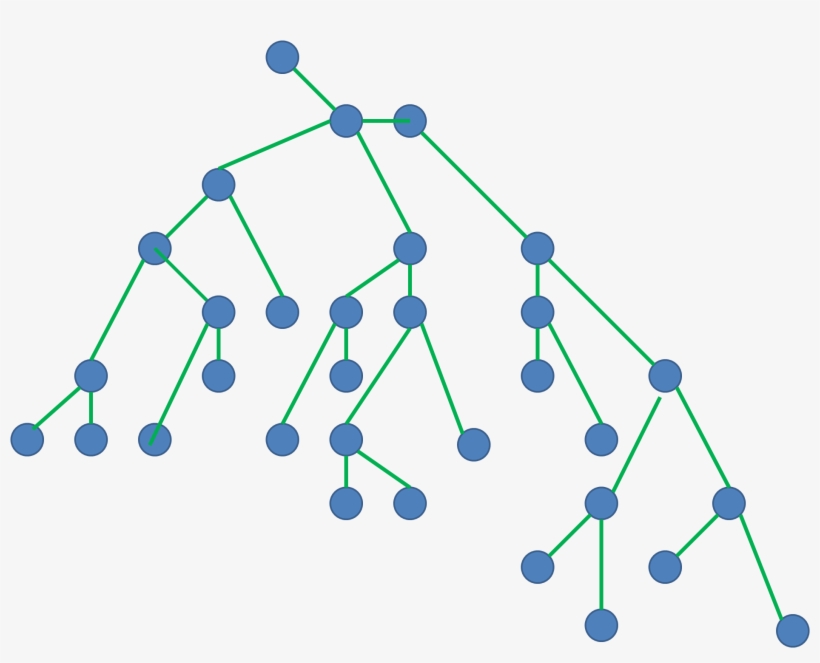I Will Focus More On Explaining The Theory In This - Graph Tree, transparent png #3316331