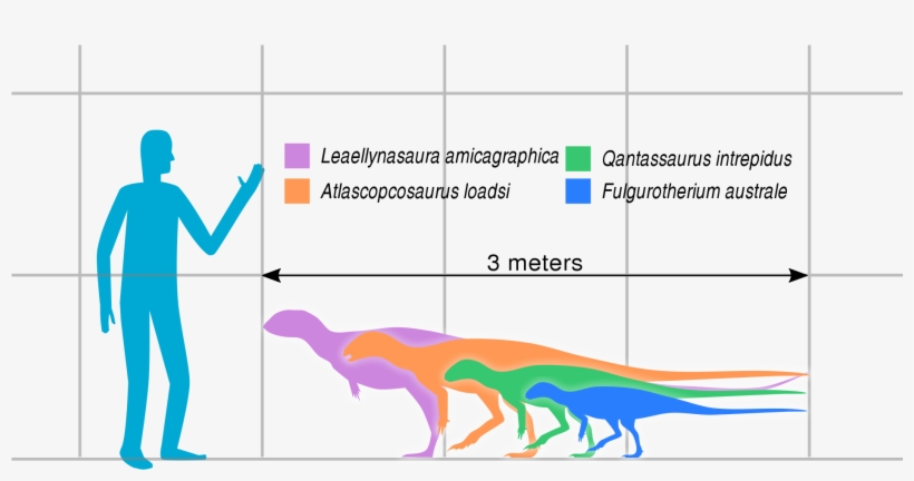 Australian Hypsilophodont Sizes Slate - Hypsilophodont, transparent png #3316495