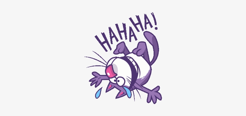 Cat Hilarious - Photography, transparent png #3317106