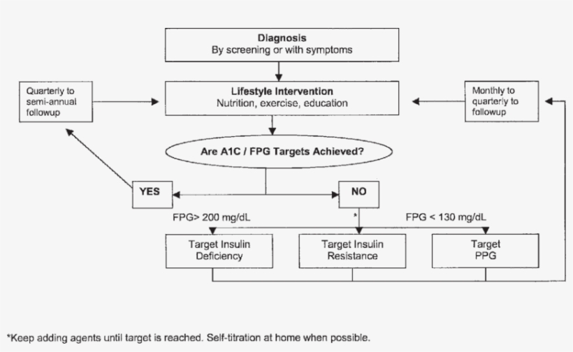 Treatment Algorithm-glucose - Diagram, transparent png #3317345