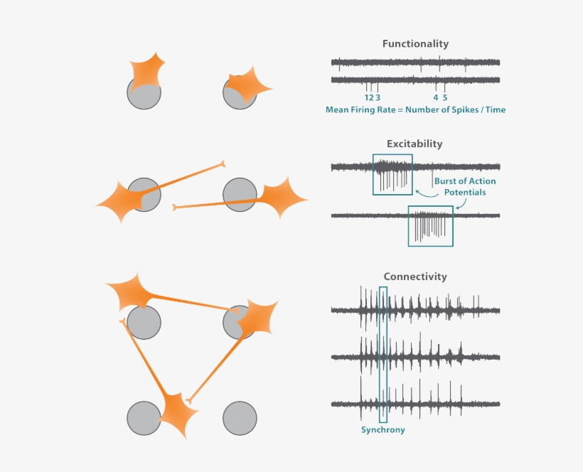 Technology Page Diagram - Axion Mea, transparent png #3317552