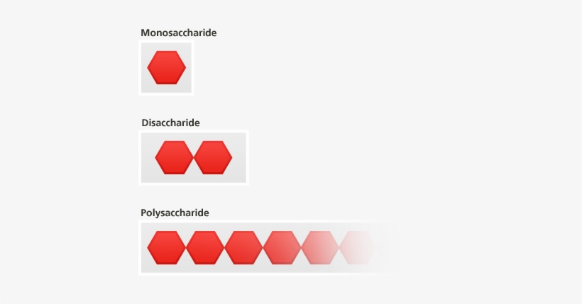 An Essential Carbohydrate - Glucose Maltose Starch, transparent png #3317744
