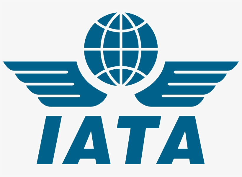 Disney Artwork, Logos, Attraction Descriptions And - International Air Transport Association, transparent png #3318117
