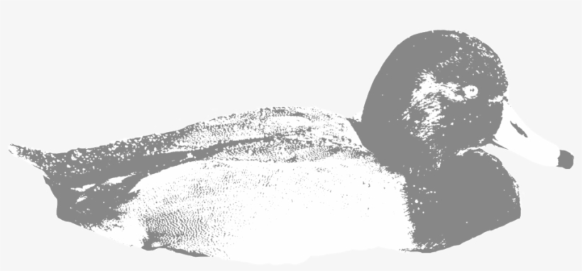 Red-head - Texas, transparent png #3318158