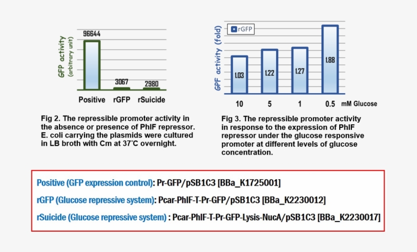 Mingdaophil1025-12 - Diagram, transparent png #3318207