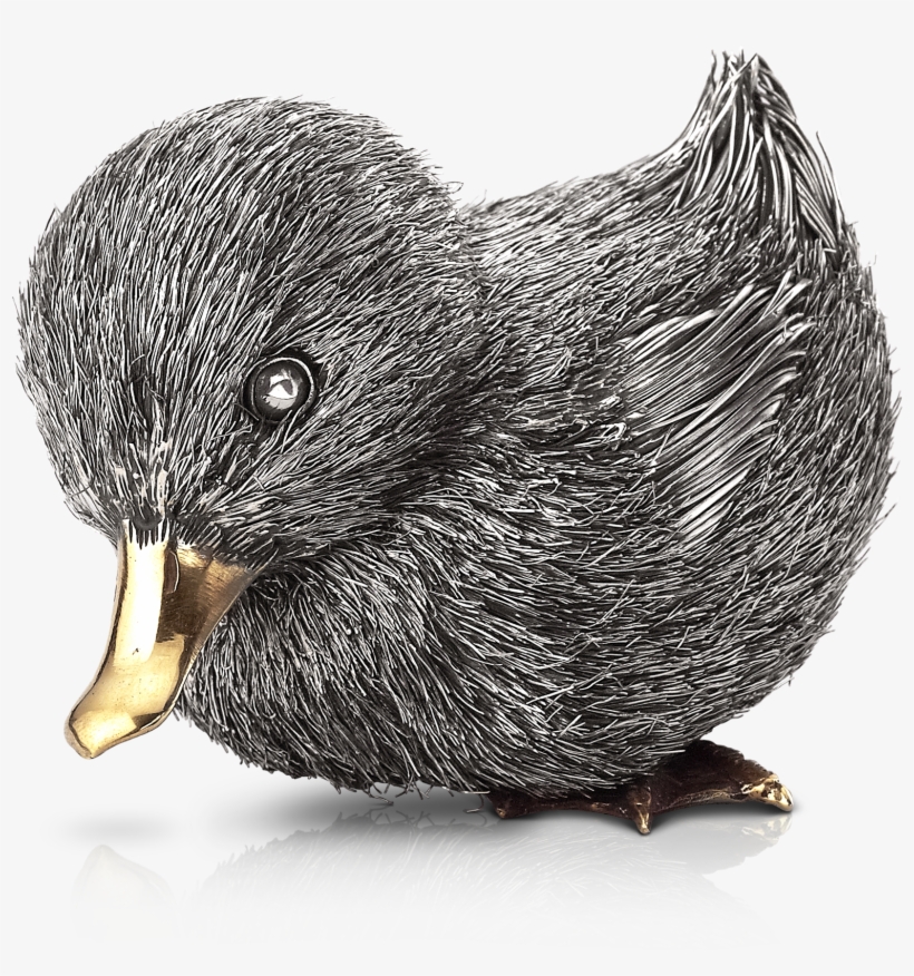 Duck, transparent png #3318420