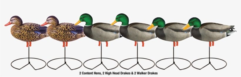 Avery Pro Grade Mallard Fb W/ Flocked Heads Harvest - Greenhead Gear Pg Fb January Mallards/harvester Pack, transparent png #3318585