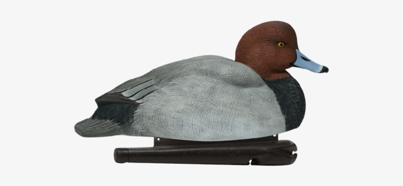 Avianx Foam Filled Redheads - Avian X Redhead Hen, transparent png #3318671