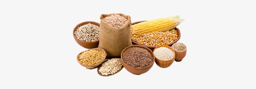 Grains - Grupo De Alimentos Cereales, transparent png #3319750