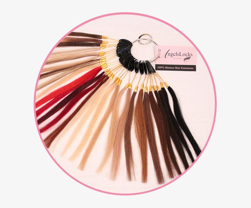 Hair Extensions Circle - Angel Remy Extension Colour Chart, transparent png #3321893
