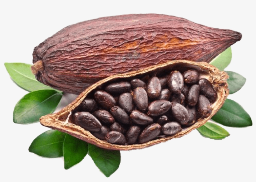 Cocoa Beans Grown Around The World, transparent png #3322781