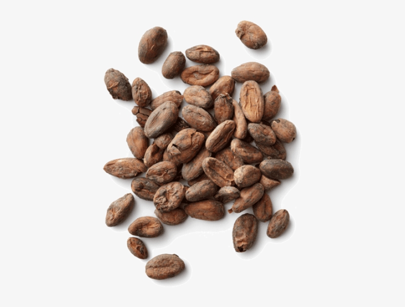 Free Png Cacao Png Images Transparent - Cocoa Beans Png, transparent png #3322812