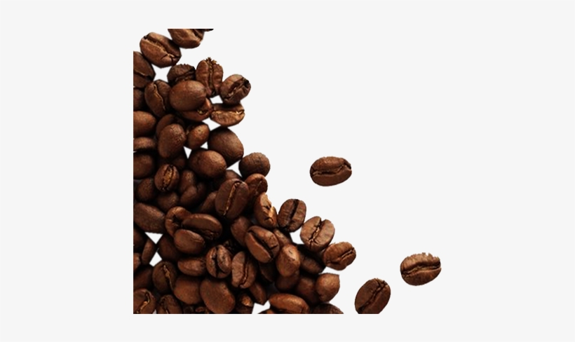 Cacaos Free Png Image - Coffee Beans Transparent Background, transparent png #3322838