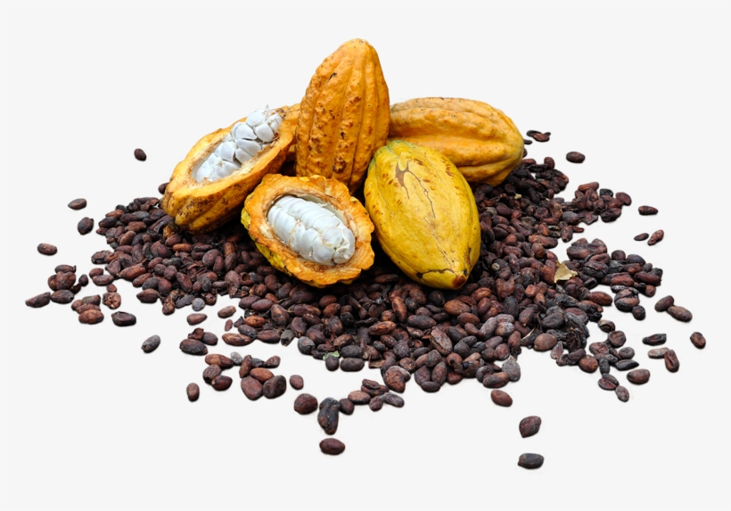 About Us - Cacao Nacional, transparent png #3322916