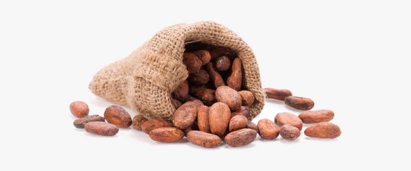 Granos De Cacao, transparent png #3322937