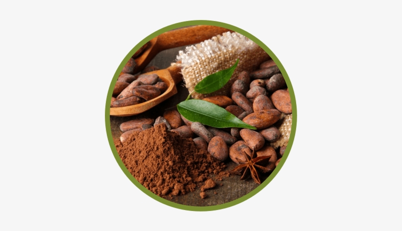 Cacao Mae ™ Is A Dominican Family Business Brand That - Healthworks Raw Certified Organic Cacao Powder 1 Lb, transparent png #3323015