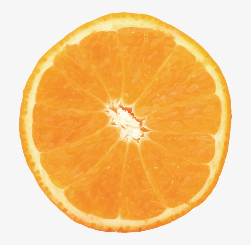 Orange, Vector, Fruit, Citrus, Food, Valencia - Orange Png, transparent png #3323977