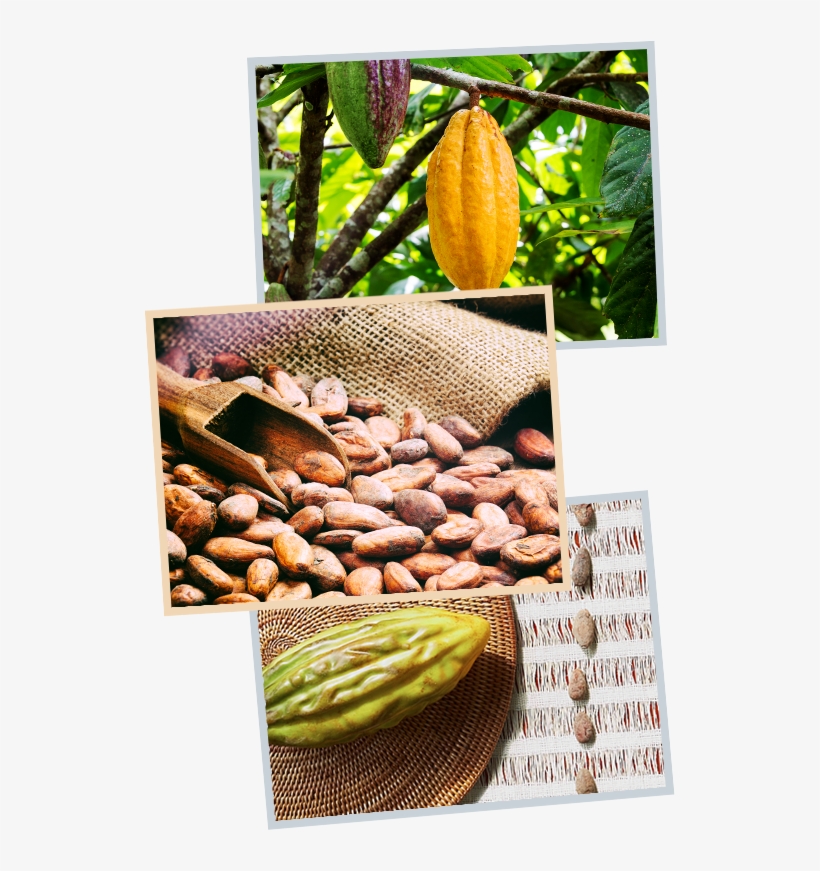 Our Core Ingredient For The Last 40 Years Has Been, transparent png #3324176