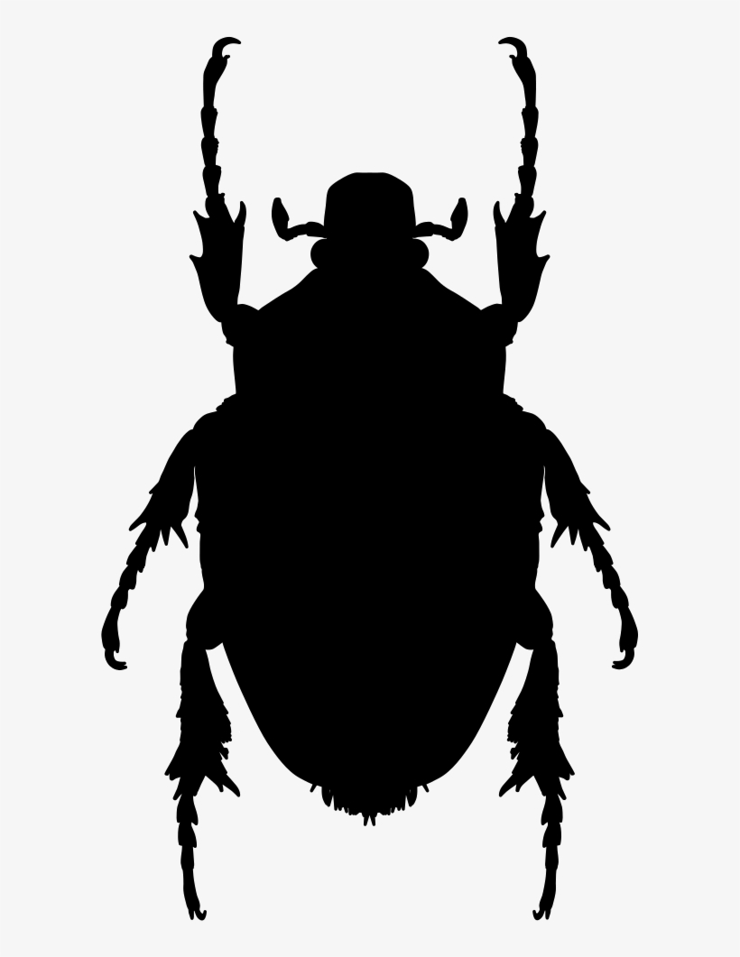 Insect Shape Of Stink Bug Comments - Stink Bug Svg, transparent png #3324345