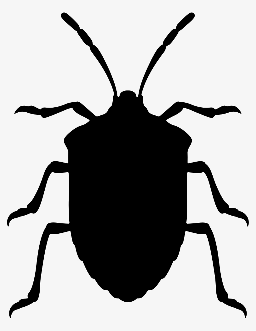 Png File - Stink Bug Clip Art, transparent png #3324376