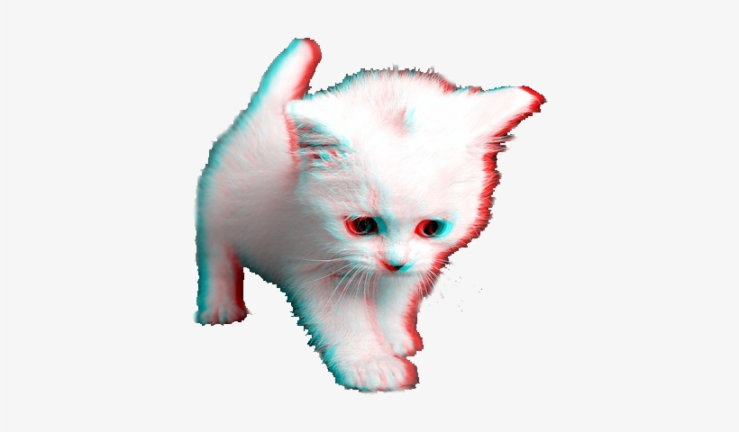 Meow Tumblr Transparent Meow Tumblr Transparent Youtube - Cat Transparents, transparent png #3324967