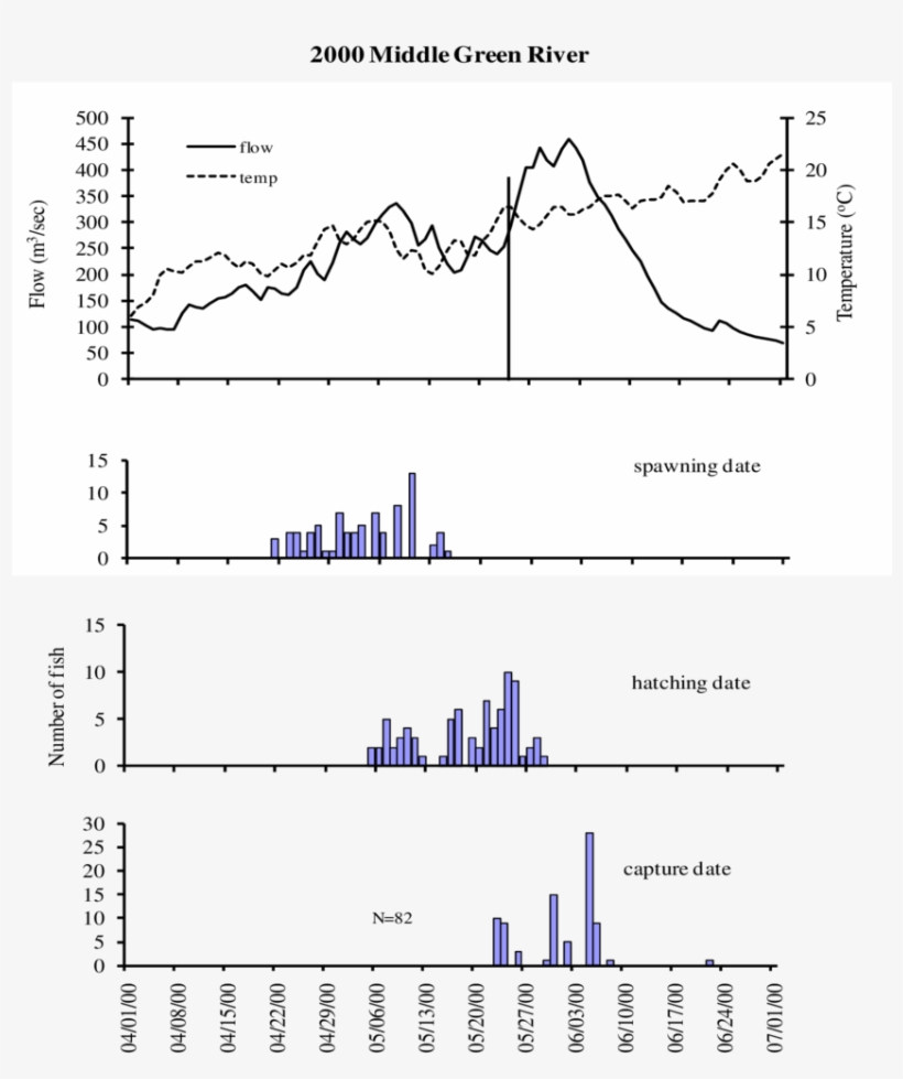 Capture And Otolith Age Estimated Hatching And Spawning - Diagram, transparent png #3325042