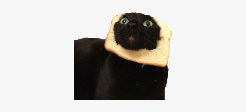 Transparent Cat Face Tumblr Similiar Tumblr Transparent - Cat Bread, transparent png #3325155