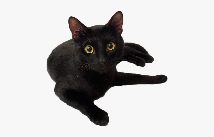 C - Hecate Spells, transparent png #3325183