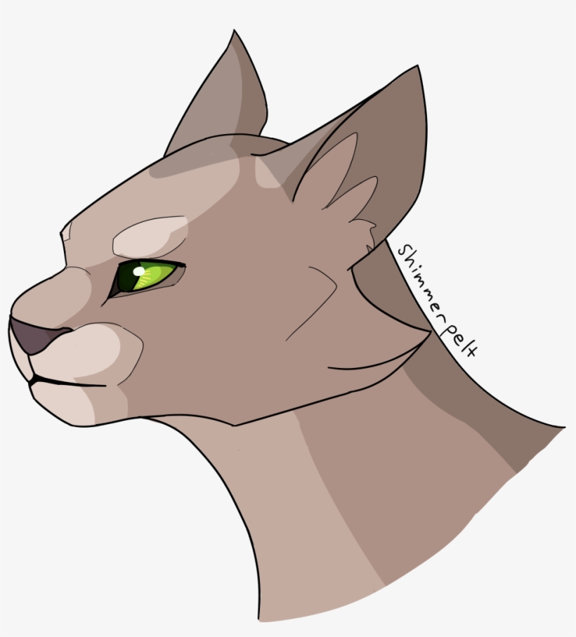 Daily Random Warrior Cats Png Tumblr Gore Cat - Shimmerpelt, transparent png #3325367