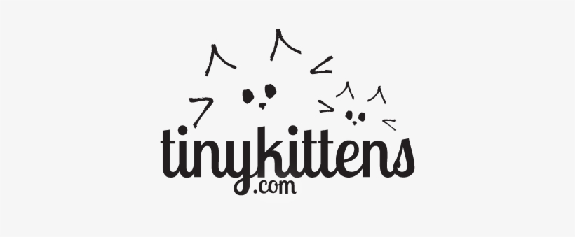 Tinykittenscom Logo Black - Full Page Patterns Coloring Book For Adults, transparent png #3326153