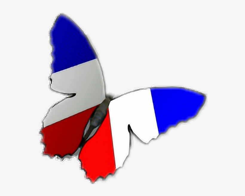 Clip Art, transparent png #3326422