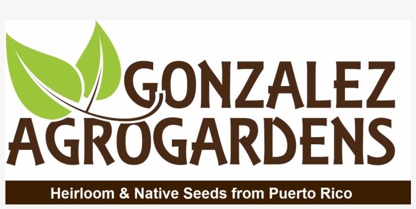 Gonzalezagrogardens - Puerto Jimenez, transparent png #3326441