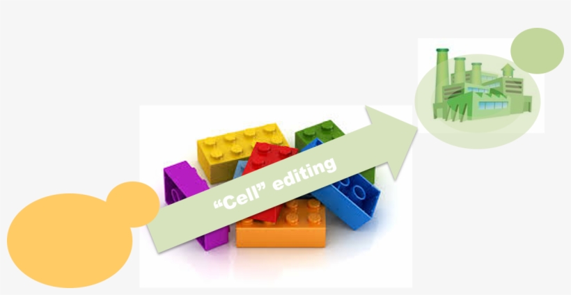 Img Tema Nuno Mira - Graphic Design, transparent png #3326638