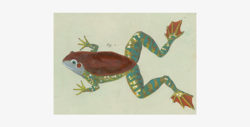 Figure 1, transparent png #3326852