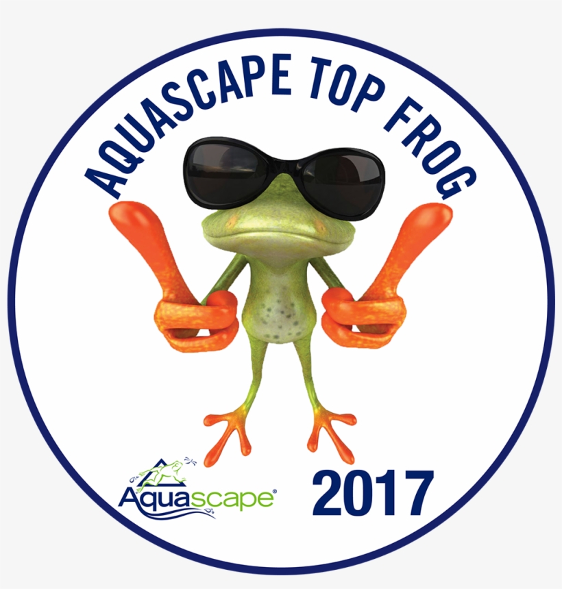 Jardinaquadesign Aquascape Topfrog - Seneca Nation Of Indians Flag, transparent png #3326971