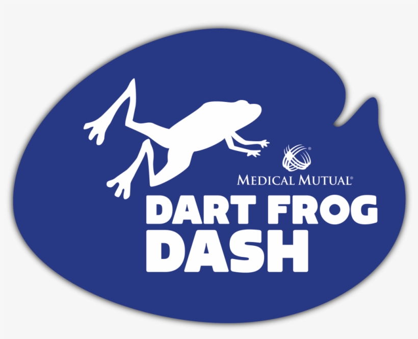 Dart Frog Dash - Data Flow Diagram, transparent png #3326998