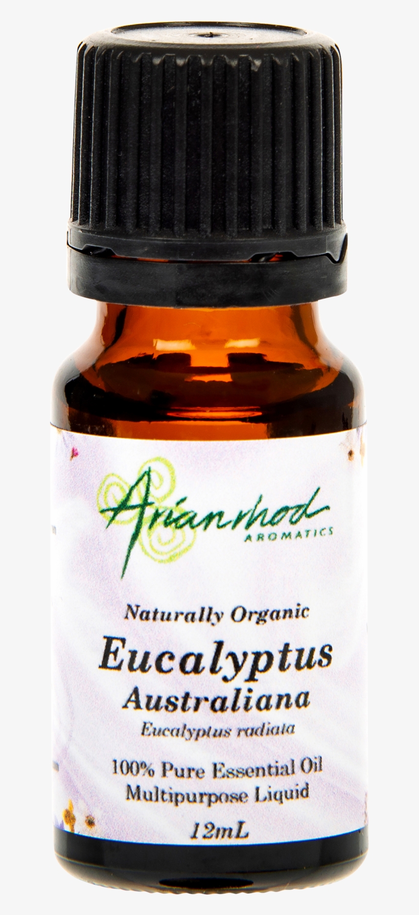 Eucalyptus - Fruit, transparent png #3327232