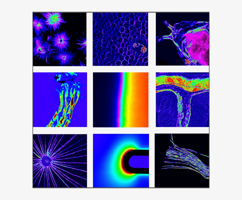 Exicor® Microimagertm - Hinds Instruments, Inc., transparent png #3327405
