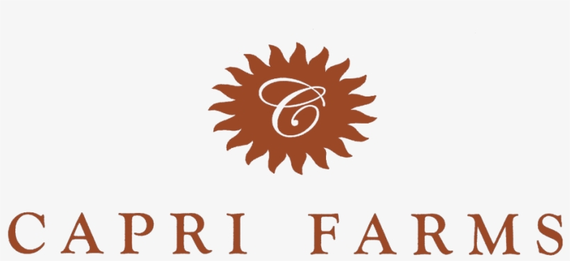 Cropped Burnt Amber Capri Fotoflexer Photo E1380636382945 - Logo, transparent png #3327450