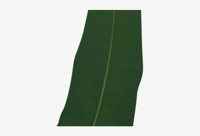 Gum Trees, transparent png #3327478