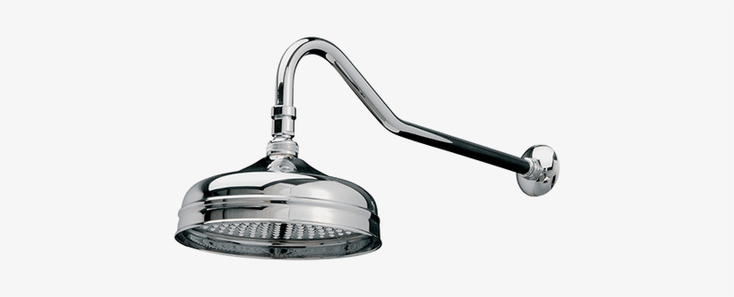 Albany Shower Head - Shower, transparent png #3328136
