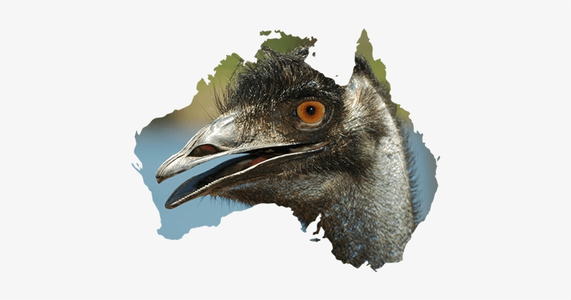 Copyright © 2018 Pete The Birdman Theme - Australia Map, transparent png #3328206