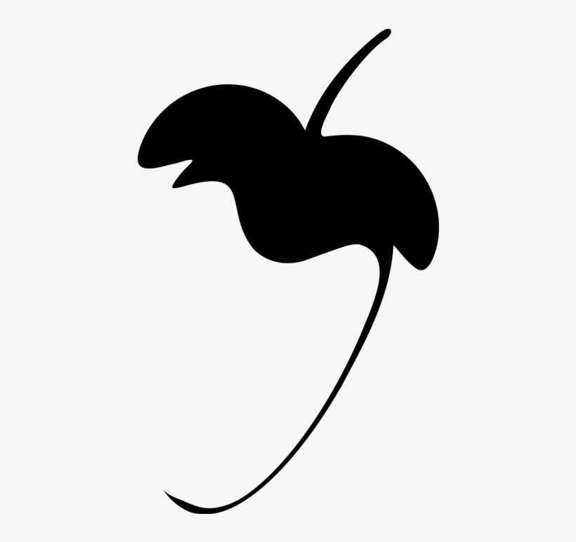 Fruit Flatblack - Fl Studio 12 Logo - Free Transparent PNG Download - PNGkey