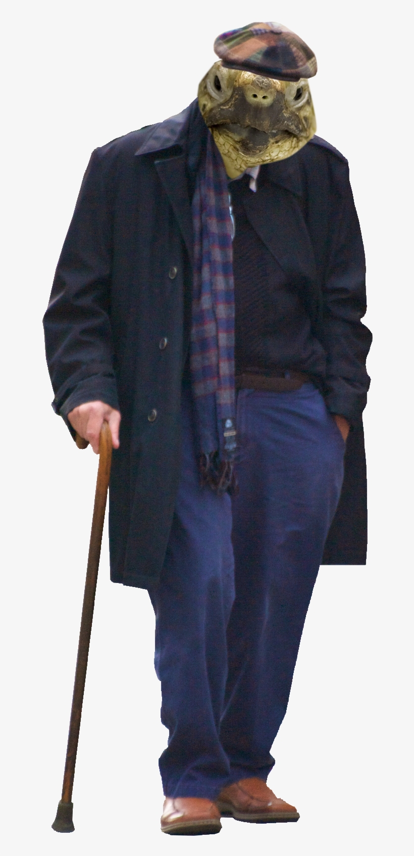 Crazy Animals - Download, transparent png #3328767