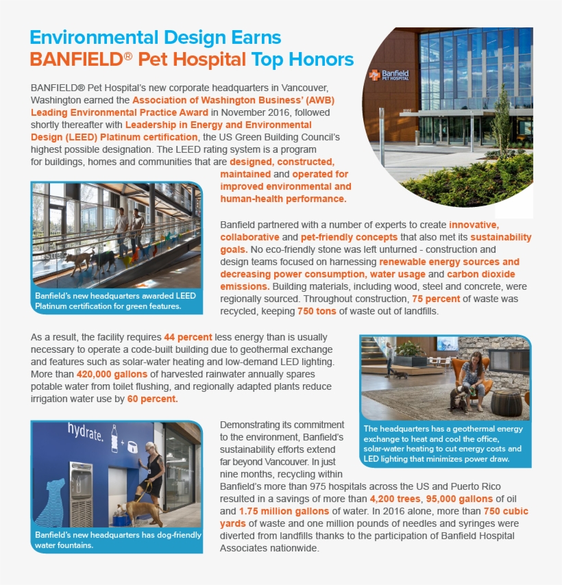 Art Layout - Sustainable Business, transparent png #3329586