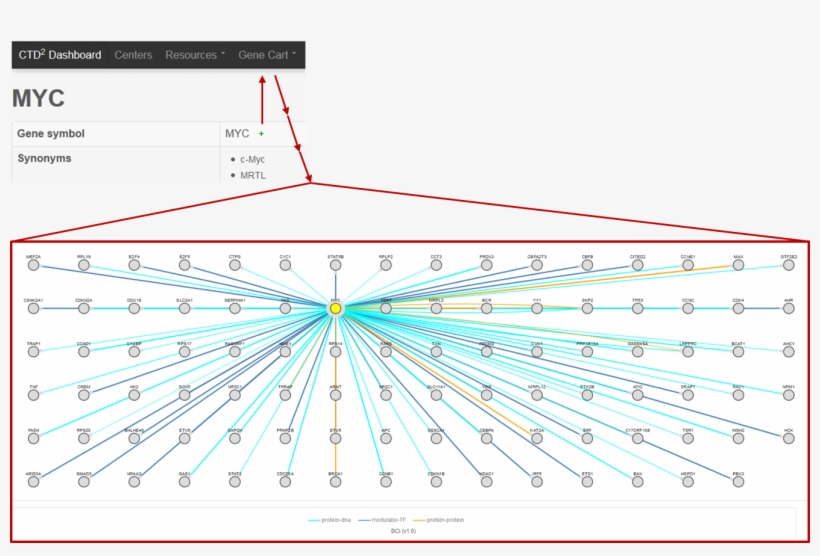 Screen Shot Of Dashboard Myc Interactome Instructional - Gene, transparent png #3329640